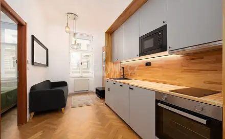 Pronájem bytu 1+1 31 m²