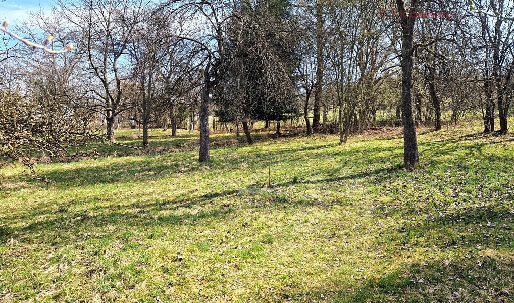 Prodej stavebního pozemku 2 619 m², Záhorovice – náhled fotky 7