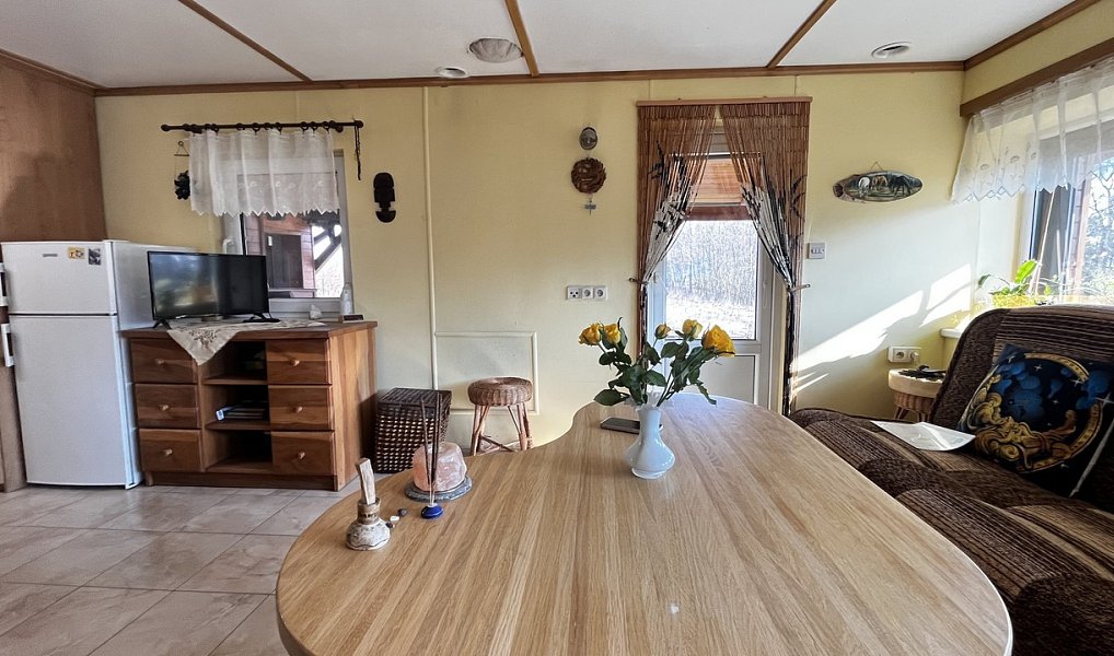 Prodej domu 100 m² s pozemkem 4 357 m², Snědovice – náhled fotky 9