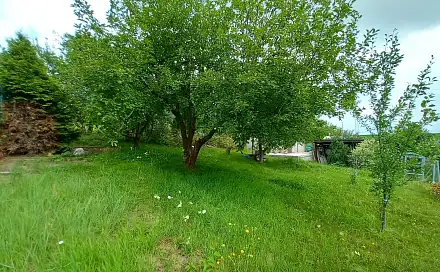 Prodej chaty/chalupy 15 m² s pozemkem 15 m², Moravská Třebová, okres Svitavy