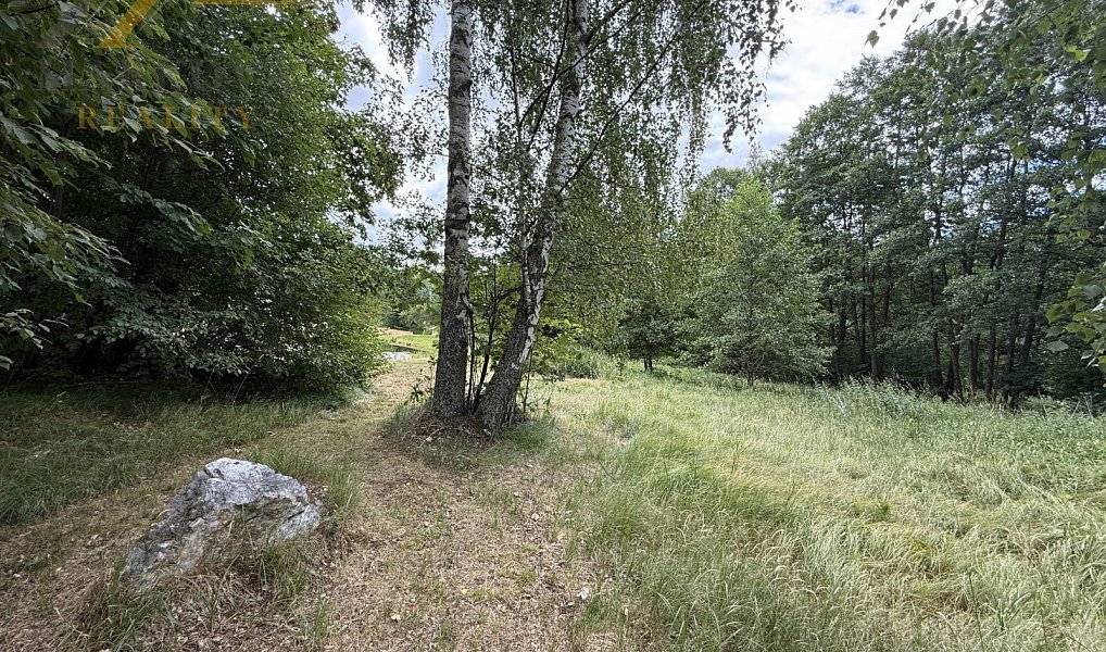 Prodej domu 219 m² s pozemkem 4 179 m², Bujanov – náhled fotky 31