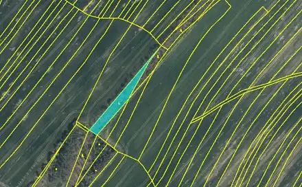 Prodej lesa 1 697 m², Oplot - Zbýšov