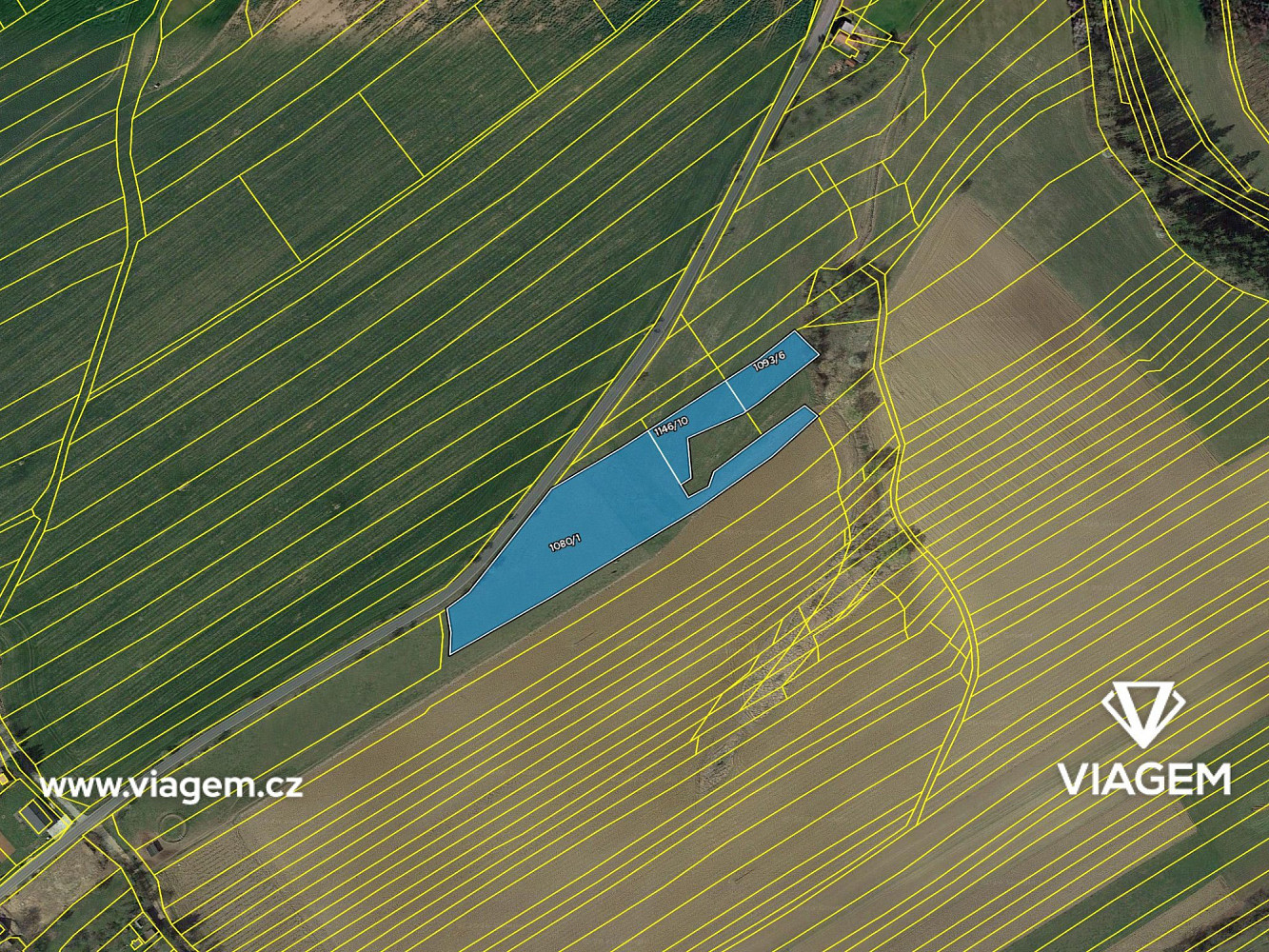 Prodej pole 1 384 m² – fotografie 4