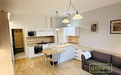 Pronájem bytu 1+kk 34 m², Anežky České, Dobřichovice, okres Praha-západ