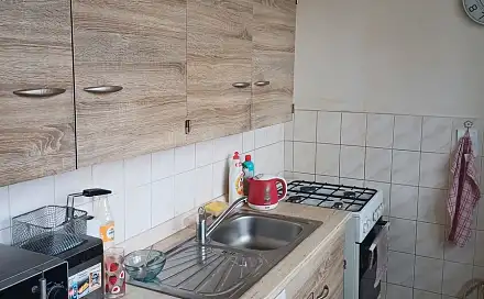 Prodej bytu 1+1 37 m², Mariánskohorská, Ostrava - Moravská Ostrava