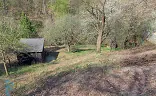 Ostatní