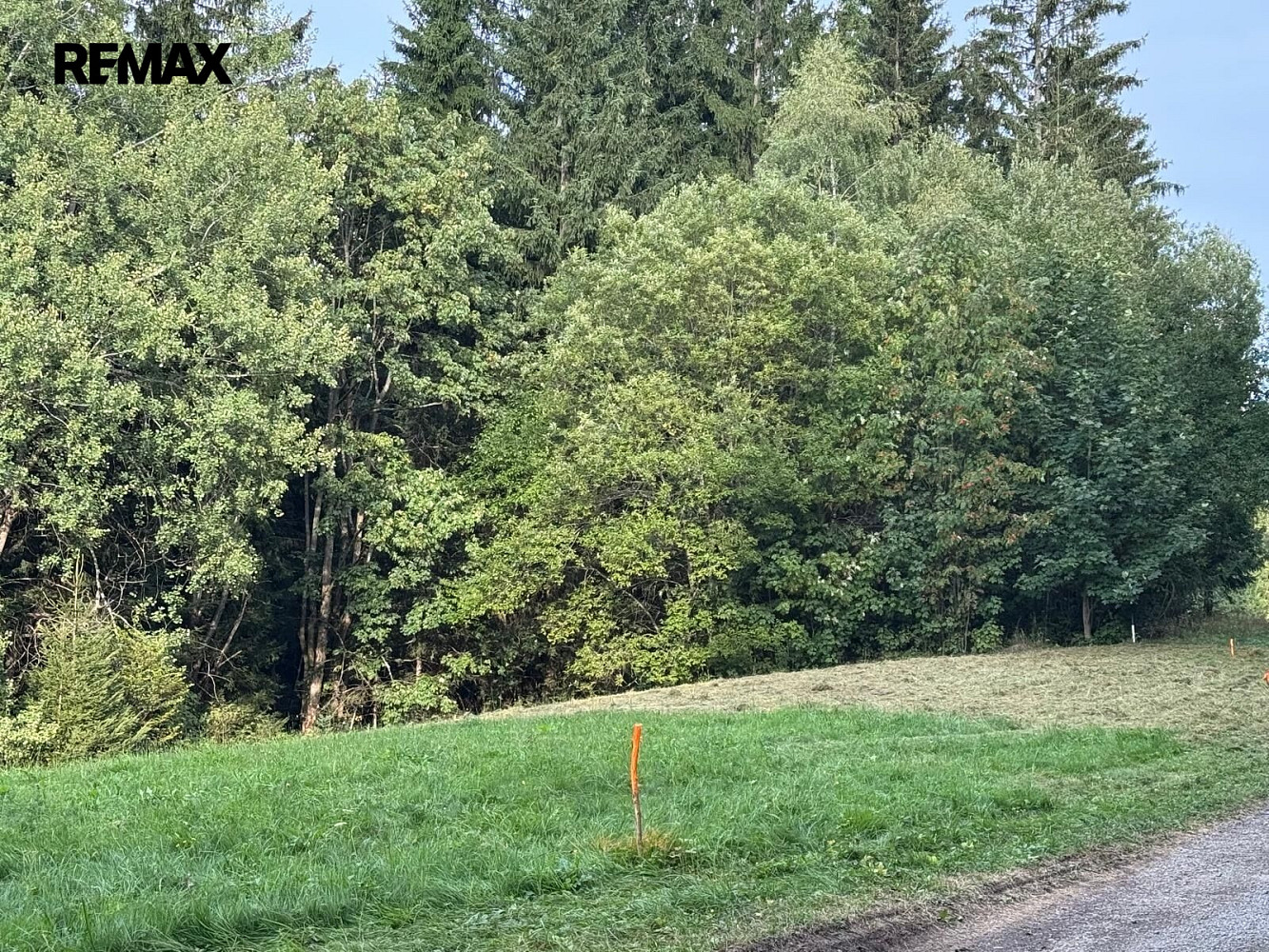 Prodej pozemku 1 194 m²