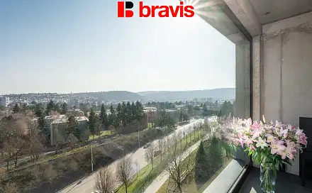 Pronájem bytu 1+kk 35 m², Královopolská, Brno - Žabovřesky