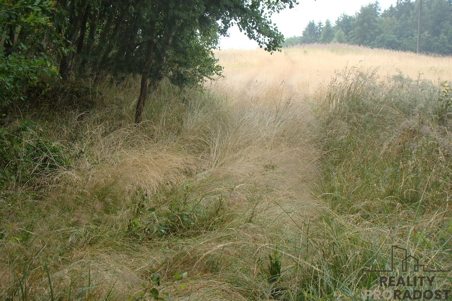 Prodej zahrady 2 000 m² – fotografie 3