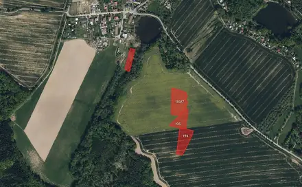 Prodej pole 4 801 m², Svojšice, okres Pardubice