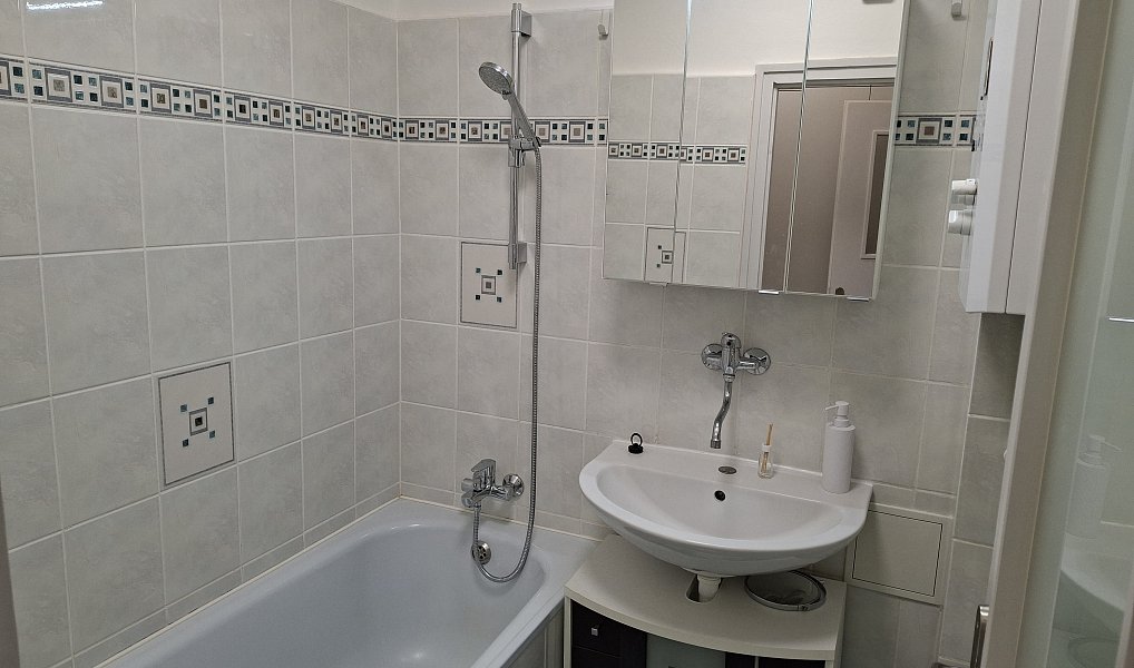 Pronájem bytu 3+1 76 m², Praha – náhled fotky 5