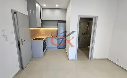 Pronájem bytu 1+kk 20 m², Jeremenkova, Šenov u Nového Jičína, okres Nový Jičín