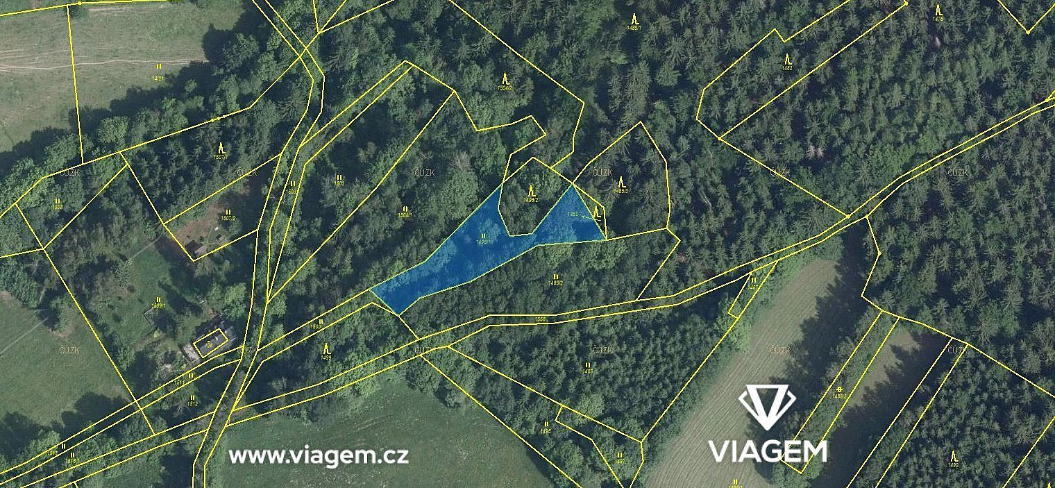 Les 1 518 m², Podíl 38 % o výměře 569 m² – pohled 2