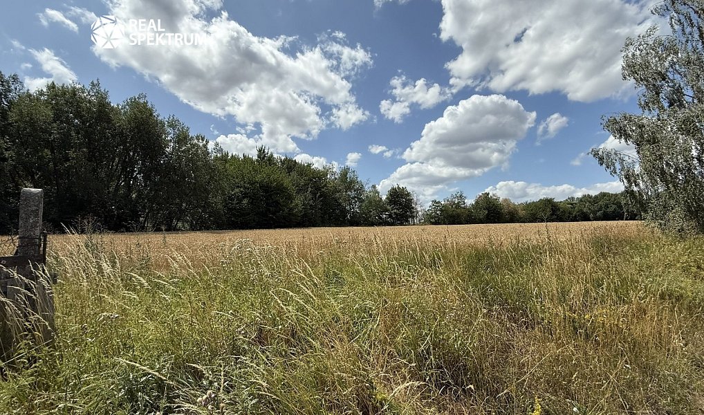 Prodej domu 250 m² s pozemkem 2 793 m², Osová Bítýška – náhled fotky 8