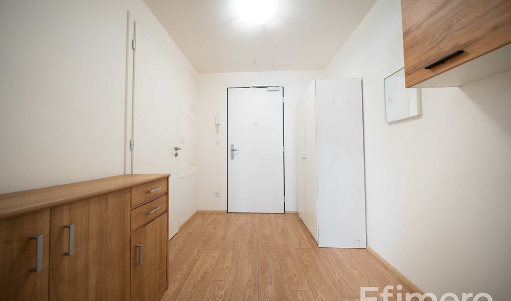 Pronájem bytu 1+kk 35 m², Brno – náhled fotky 8