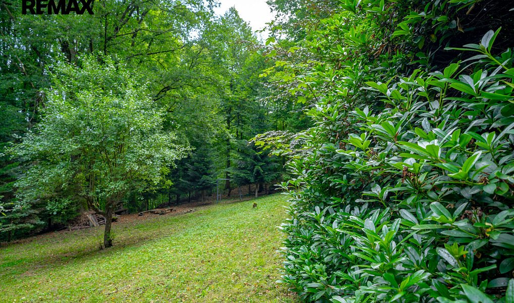 Prodej zahrady 1 398 m², Benešov nad Ploučnicí – náhled fotky 21