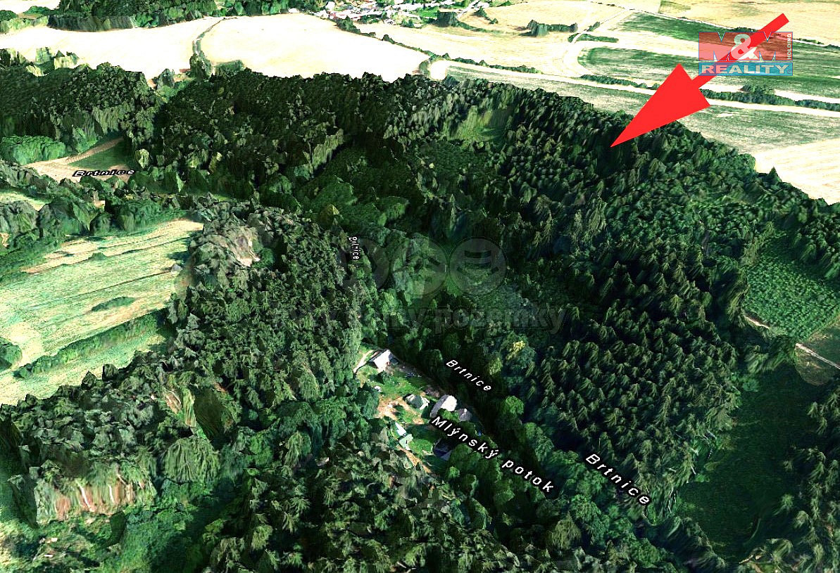 Prodej lesa 21 827 m²