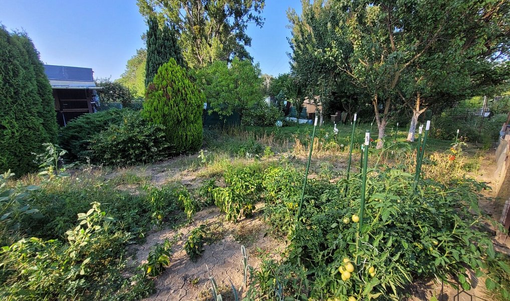 Prodej zahrady 200 m², Hulín – náhled fotky 13