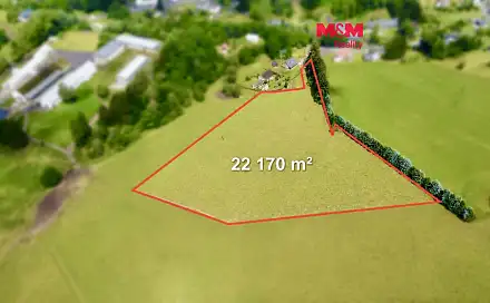 Prodej louky 22 170 m², Bartošovice v Orlických horách, okres Rychnov nad Kněžnou