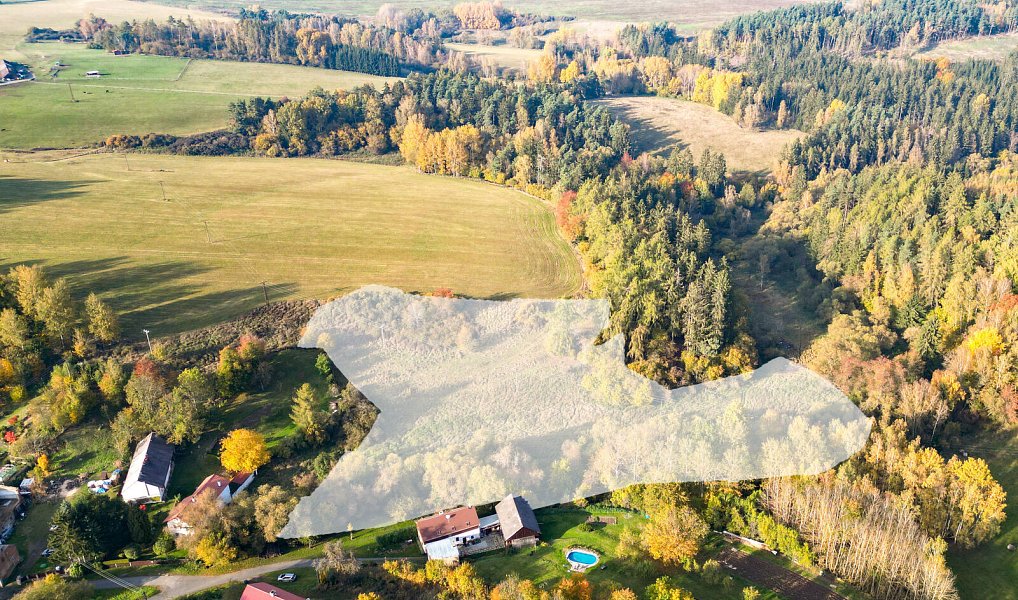 Prodej pozemku 15 970 m², Planá – náhled fotky 3