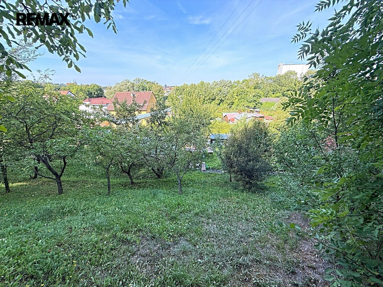Fotka 6 z 10