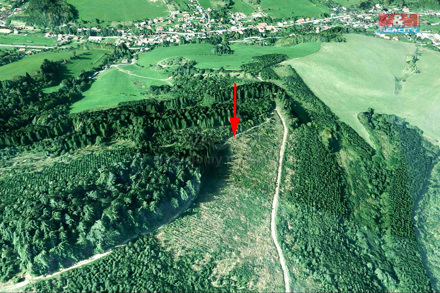 Prodej lesa 5 445 m²