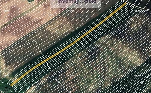 Prodej pole 6 540 m², Čejkovice, okres Hodonín