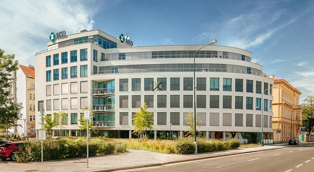 Pronájem obchodních prostor 346 m²