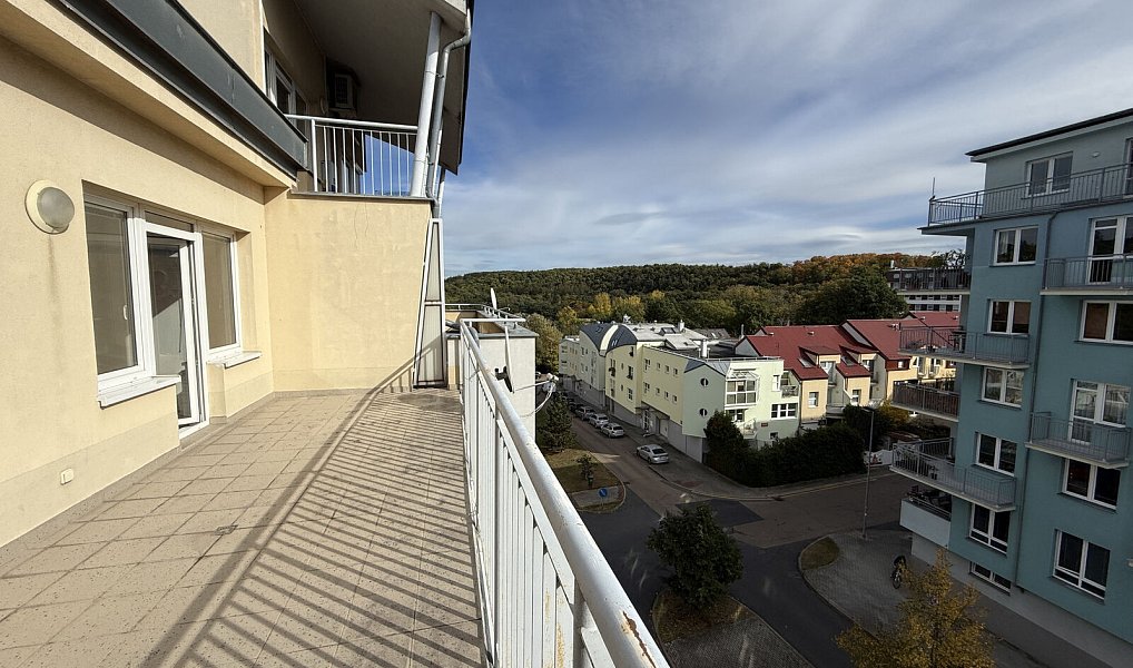 Pronájem bytu 2+1 65 m², Praha – náhled fotky 6