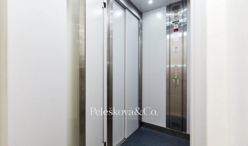 Pronájem bytu 4+kk 177 m², Praha – náhled fotky 16