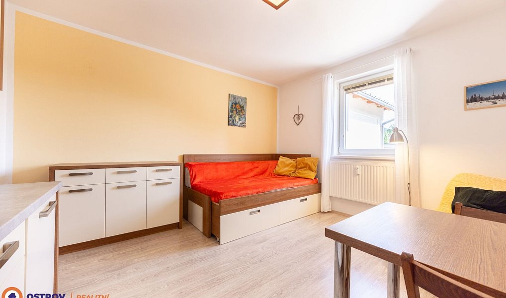 Pronájem bytu 1+kk 21 m², Loučná nad Desnou – náhled fotky 2
