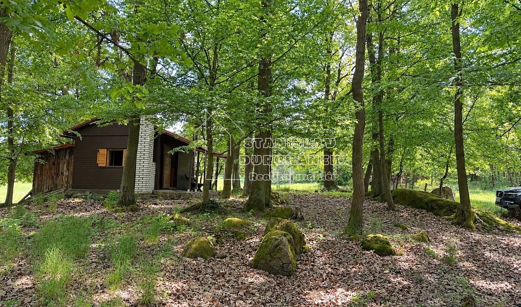 Prodej chaty/chalupy 29 m² s pozemkem 1 m², Pohoří – náhled fotky 9