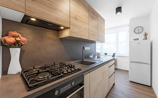 Pronájem bytu 1+1 39 m², Stařeckého, Blansko