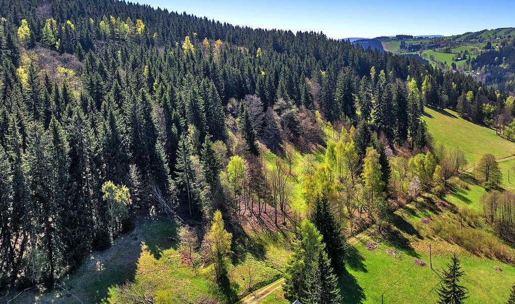 Prodej stavebního pozemku 21 708 m², Vítkovice – náhled fotky 9