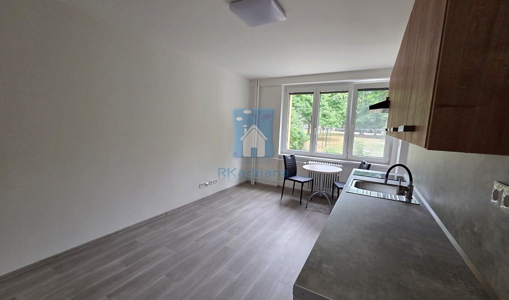 Pronájem bytu 1+kk 25 m², Plzeň – náhled fotky 4
