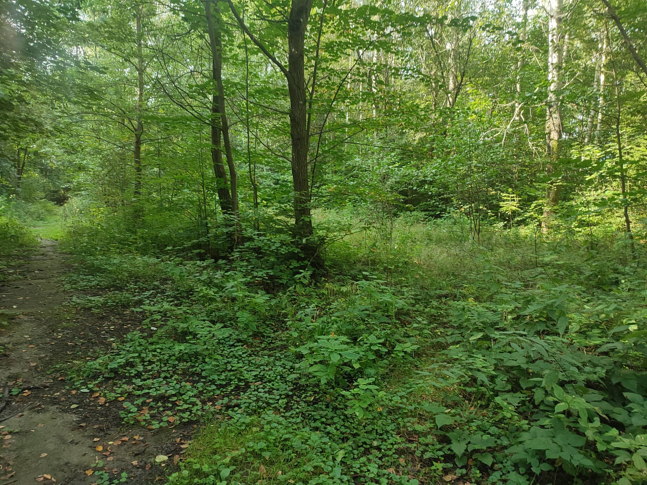 Prodej stavebního pozemku 406 m²