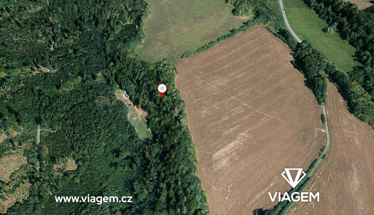 Prodej lesa 1 868 m² – fotografie 4