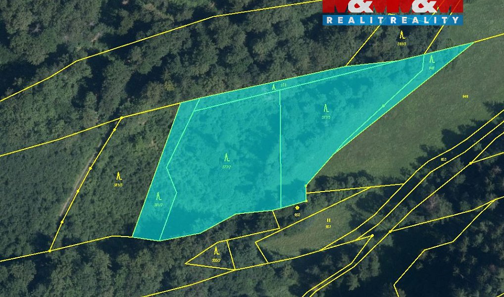 Prodej lesa 8 828 m², Olšany – náhled fotky 2