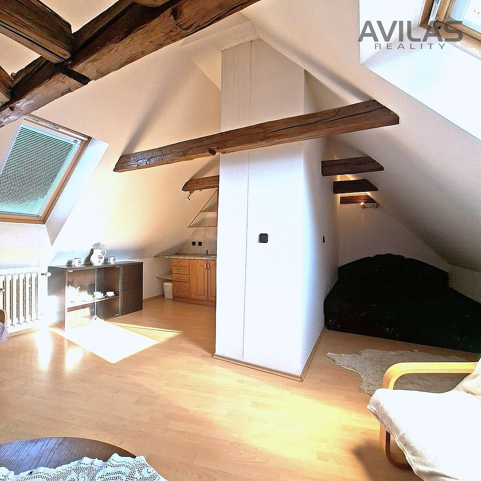 Pronájem bytu 1+kk 48 m² – fotografie 2