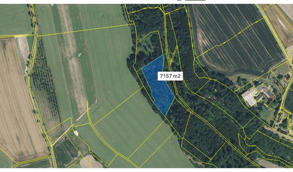 Prodej lesa 8 286 m², Svijanský Újezd – náhled fotky 2