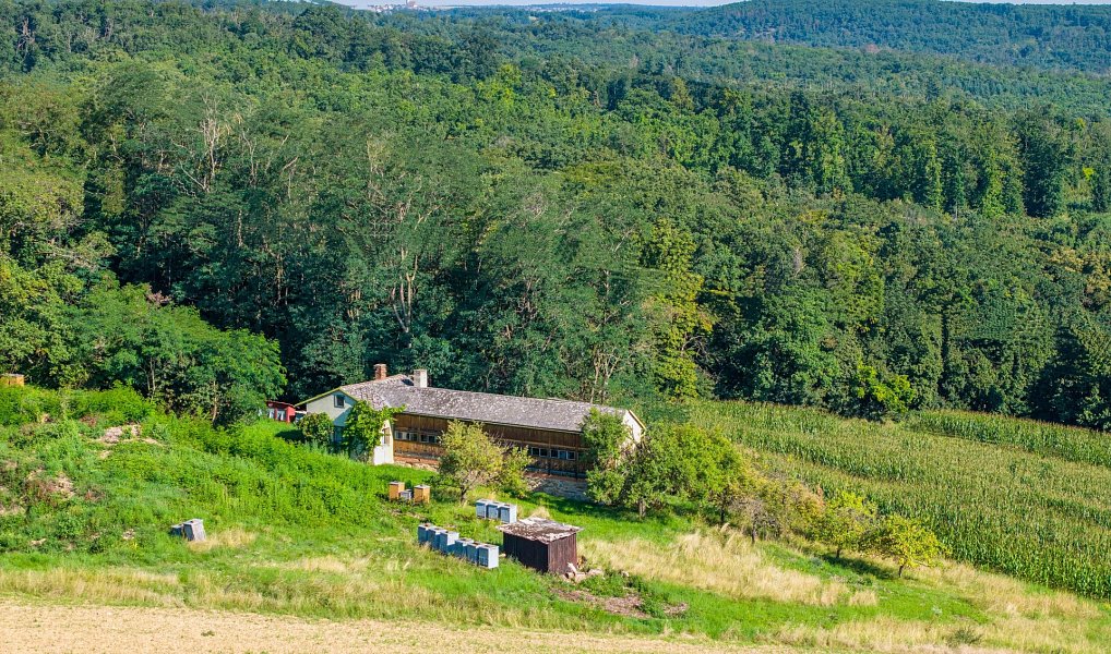 Prodej komerčního objektu (jiného typu) 71 m², Mikulovice – náhled fotky 10