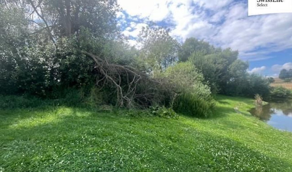 Prodej louky 360 m², Hodice – náhled fotky 6