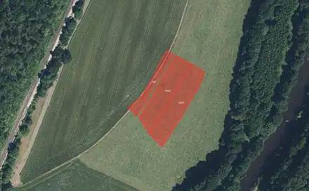 Prodej louky 6 965 m², Turnov - Bukovina, okres Semily