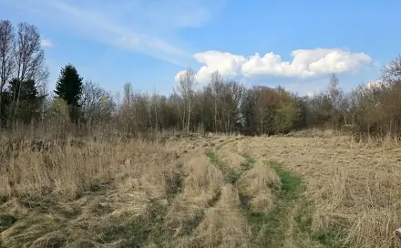 Dražba komerčního pozemku 3 900 m², Červenomlýnská, Praha 8 - Ďáblice
