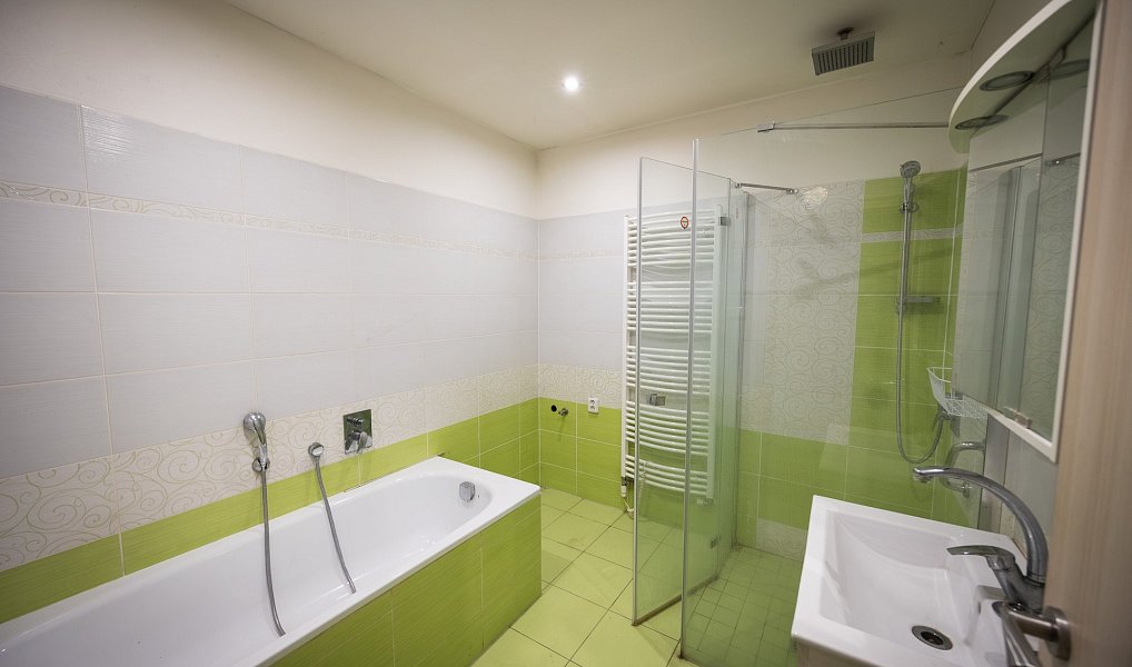 Prodej domu 450 m² s pozemkem 1 140 m², Roštění – náhled fotky 6