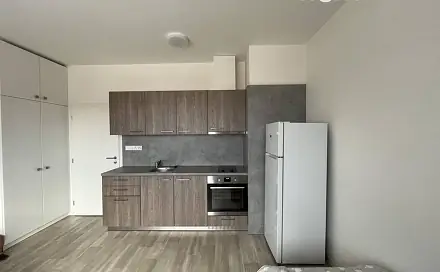 Pronájem bytu 1+kk 27 m², Plovární, Plzeň - Jižní Předměstí