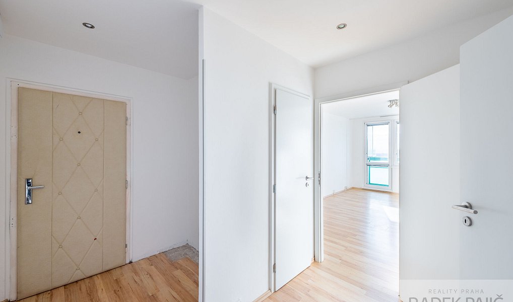 Pronájem bytu 1+1 48 m², Praha – náhled fotky 13