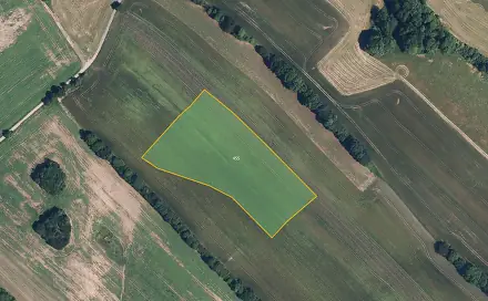 Prodej pole 12 329 m², Zborov, okres Šumperk
