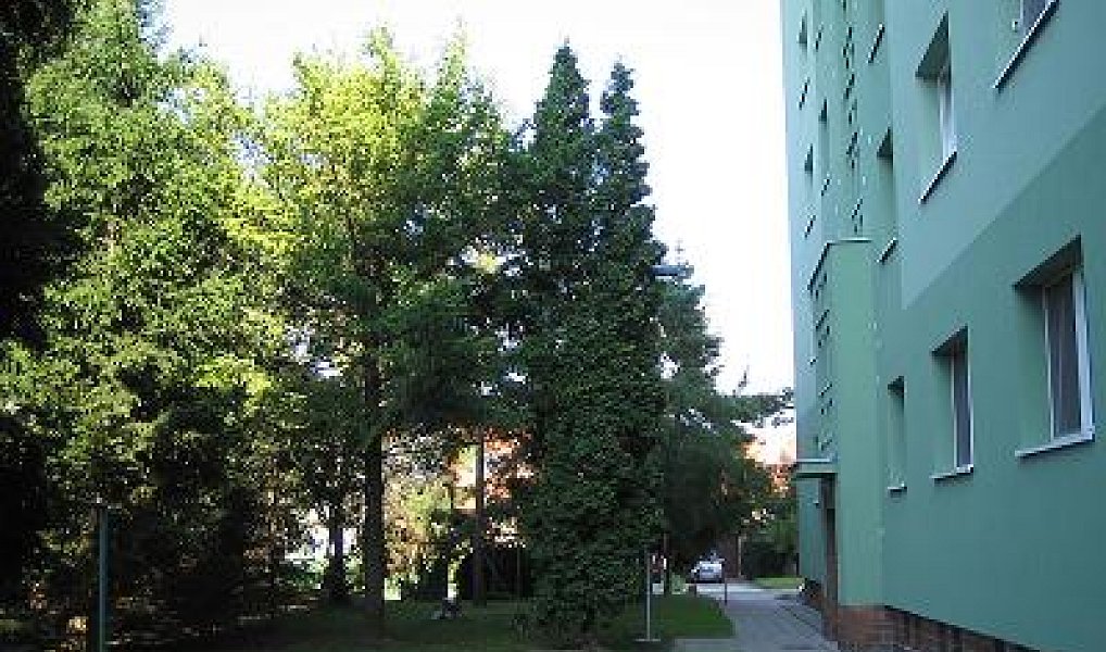 Pronájem bytu 2+1 56 m², Modřice – náhled fotky 11