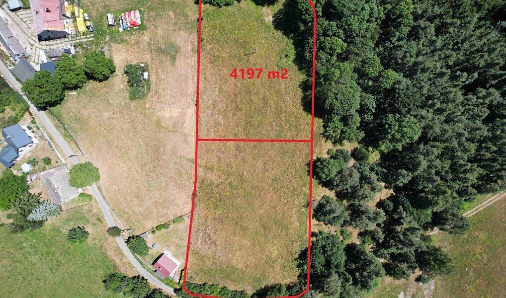 Prodej stavebního pozemku 4 197 m², Bezděz – náhled fotky 6